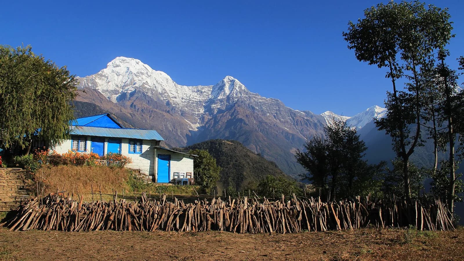 Stone houses of Ghandruk village on a terraced hillside with Annapurna peaks behind