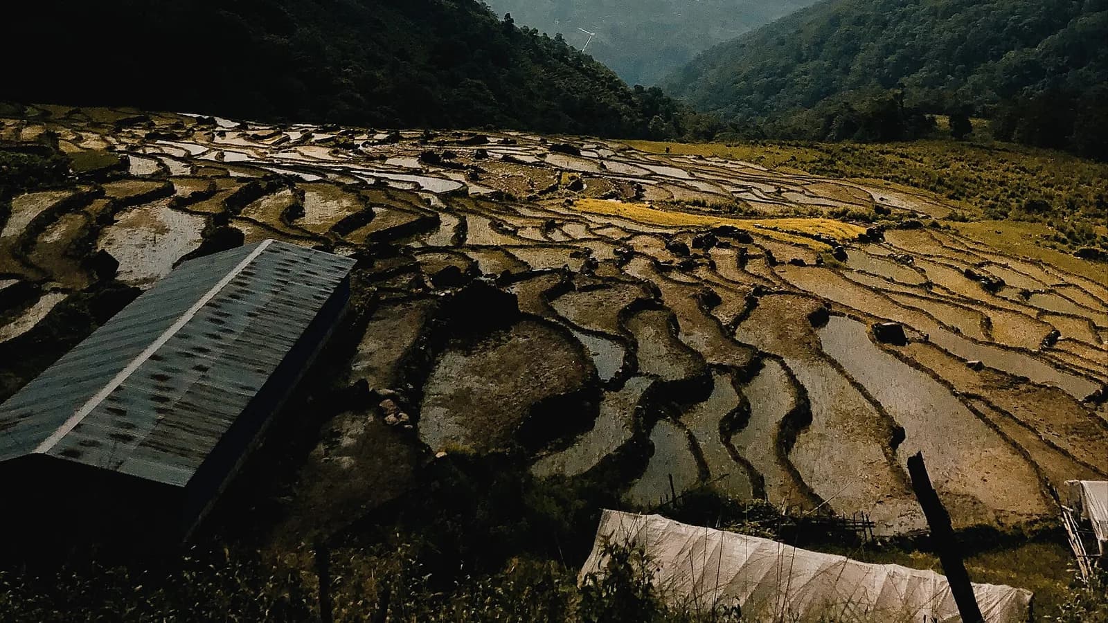 Terraced rice fields glistening under a dramatic sky, set between green hills with a misty mountain behind, in the Nepali middle hills
