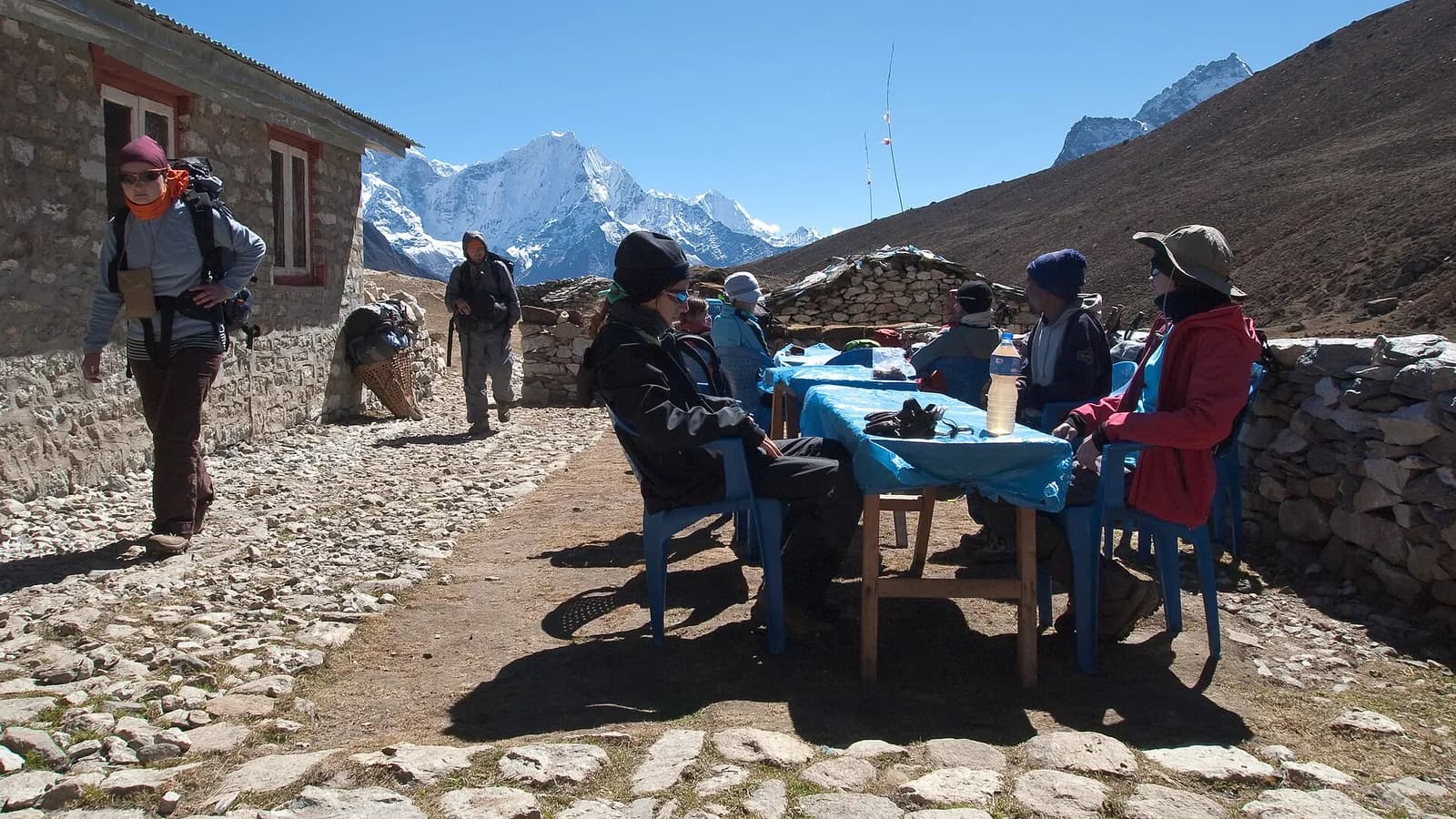 Himalayan trekking trail with pack yaks carrying loads beneath high snow peaks